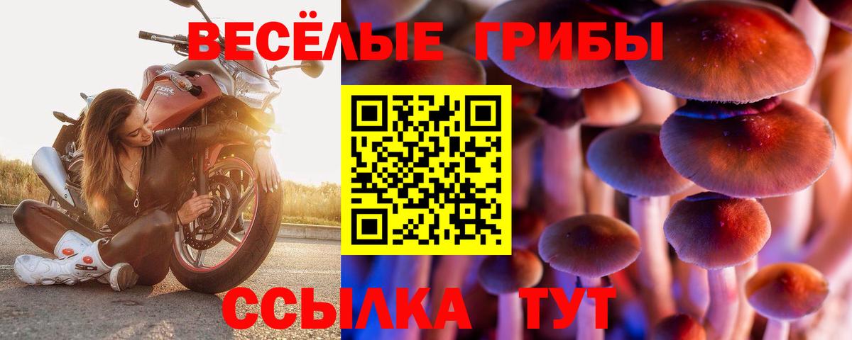Озёры  Галлюциногенные грибы GOLDEN TEACHER  Вход с VPN  Псилоцибиновые грибы мицелий 